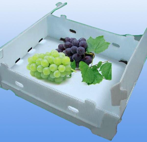 Fruit and vegetable box